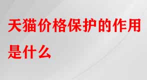 天貓代運營