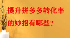 拼多多代運營