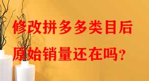 拼多多代運(yùn)營(yíng)