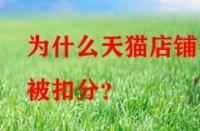 為什么天貓店鋪會被扣分？