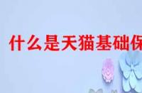 什么是天貓基礎(chǔ)保障？它的作用是什么？