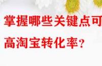 掌握哪些關(guān)鍵點(diǎn)可提高淘寶轉(zhuǎn)化率？