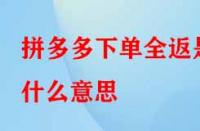 拼多多下單全返是什么意思？具體是如何操作的？
