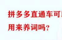 拼多多直通車可以用來養(yǎng)詞嗎？