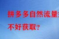 拼多多自然流量好不好獲??？