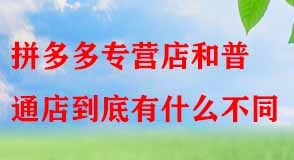 拼多多代運營