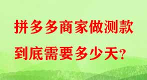 拼多多代運營