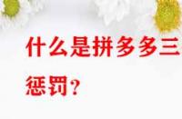 什么是拼多多三級懲罰？
