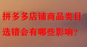 拼多多代運(yùn)營