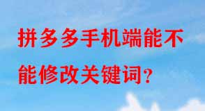 拼多多代運(yùn)營(yíng)