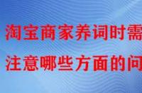 淘寶商家養(yǎng)詞時需注意哪些方面的問題？
