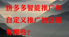 拼多多代運營