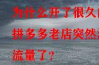為什么開了很久的拼多多老店突然沒流量了？