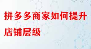 拼多多代運(yùn)營