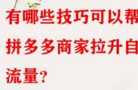 有哪些技巧可以幫助拼多多商家拉升自然流量？