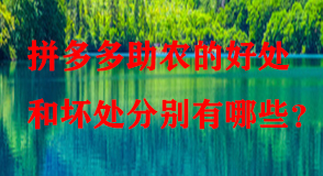 拼多多代運(yùn)營