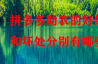 拼多多助農(nóng)的好處和壞處分別有哪些？