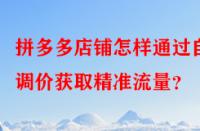 拼多多店鋪怎樣通過(guò)自動(dòng)調(diào)價(jià)獲取精準(zhǔn)流量？